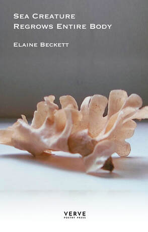 Elaine Beckett Sea Creature Regrows Entire Body